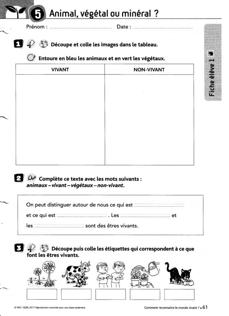 fiche élève 1 cp 9740276G Ecole jean Hoarau