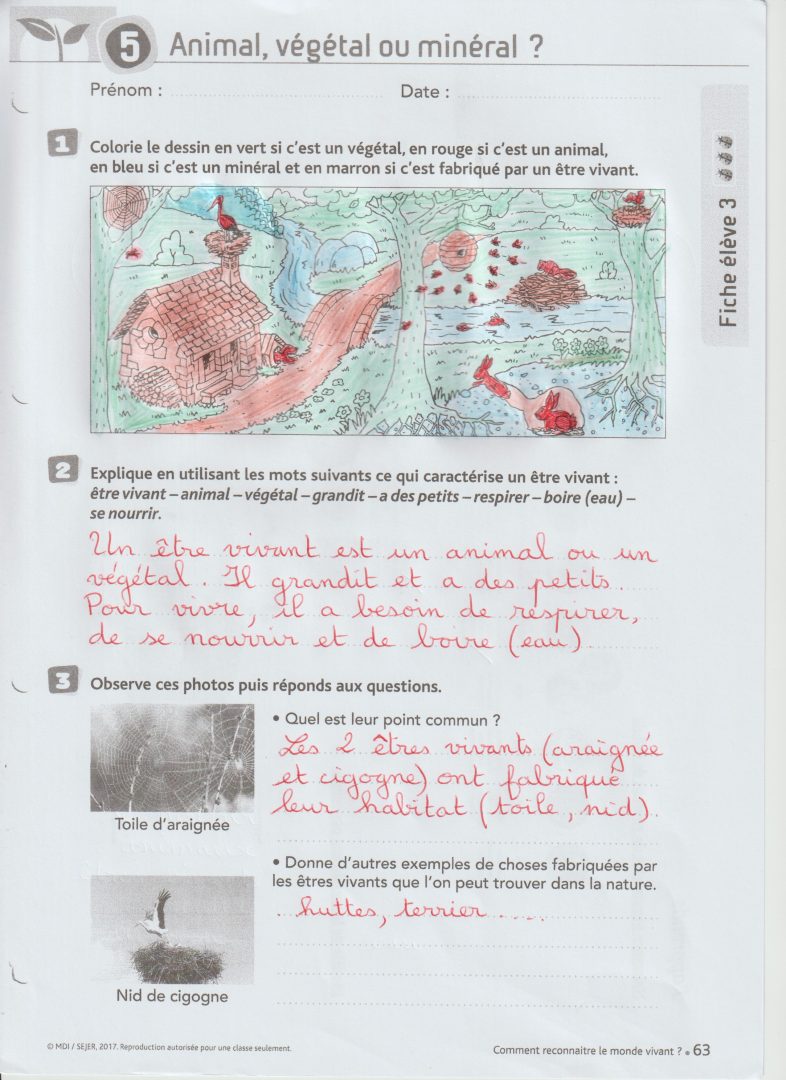 Hoareau Sandrine Ce2 Lion g Ecole Jean Hoarau Page 11
