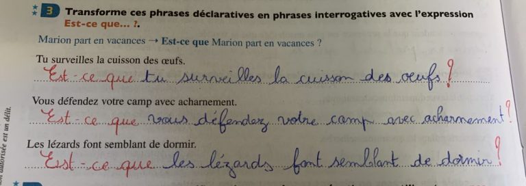 La Reine Des Fourmis A Disparu Questionnaire Ce2