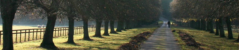 Ecole Les Bougainvilliers