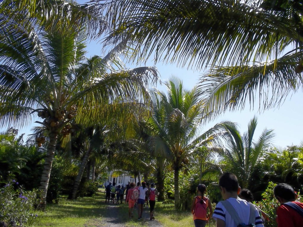 Dans l'allée principale.