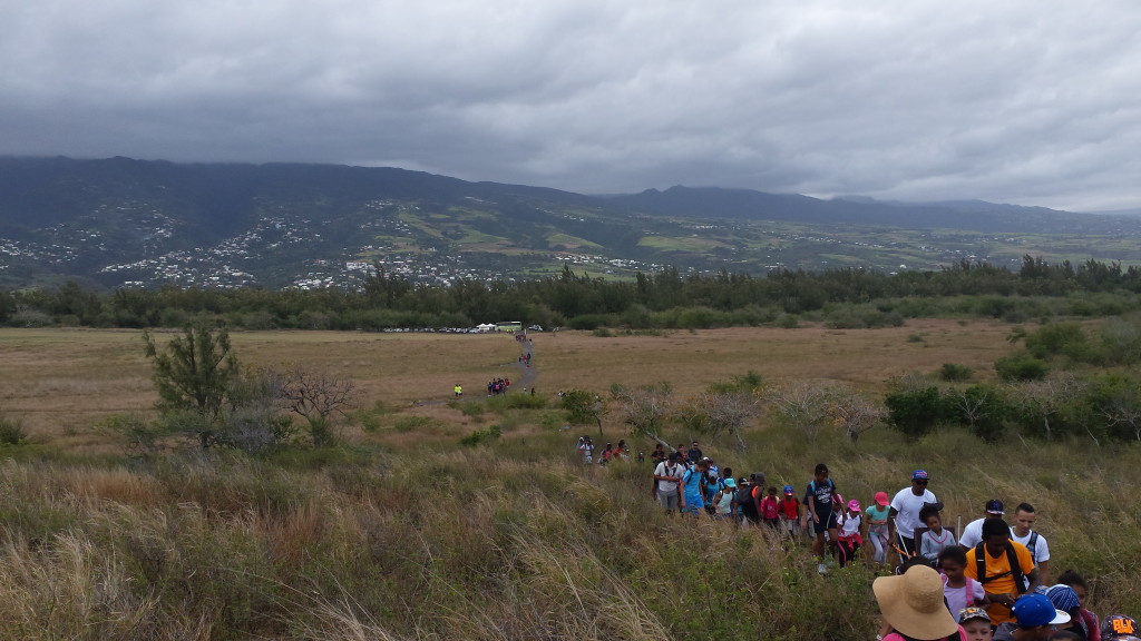 File indienne dans la savane.