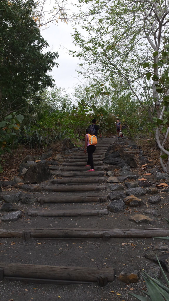 L'escalier !