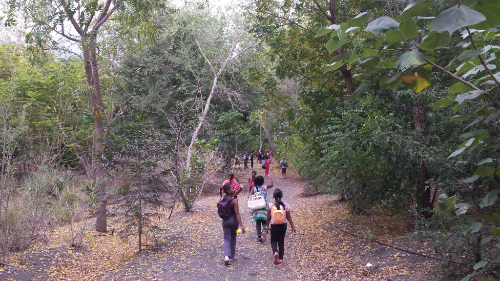 Traversée de la forêt.