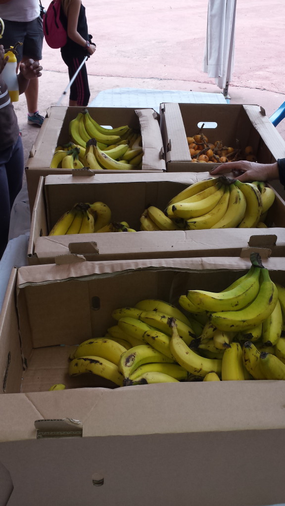 Bananes et bibasses à l'arrivée.